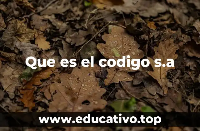 Que es el codigo s.a