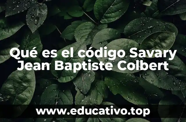 Qué es el código Savary Jean Baptiste Colbert