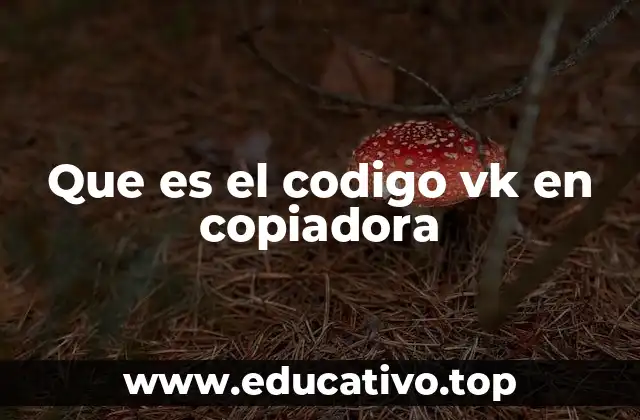 Que es el codigo vk en copiadora