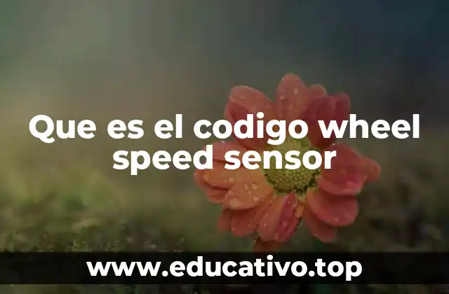 Que es el codigo wheel speed sensor