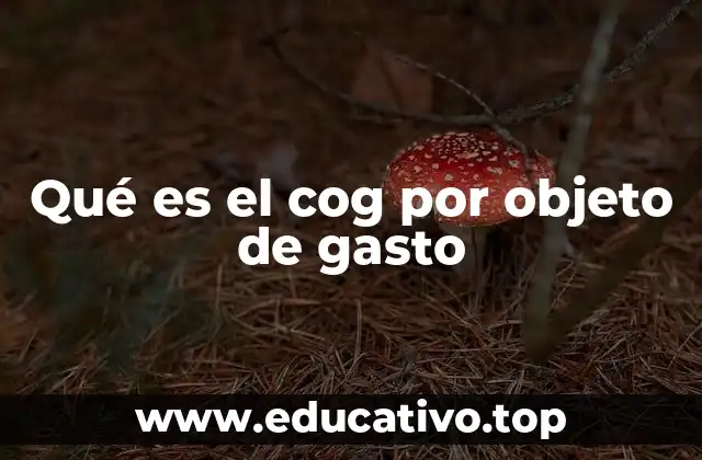 Qué es el cog por objeto de gasto