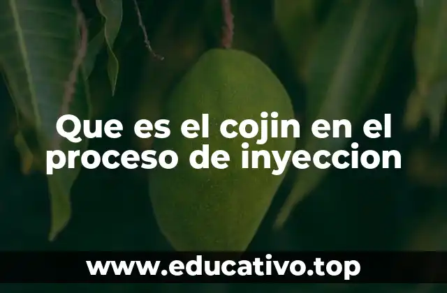 Que es el cojin en el proceso de inyeccion