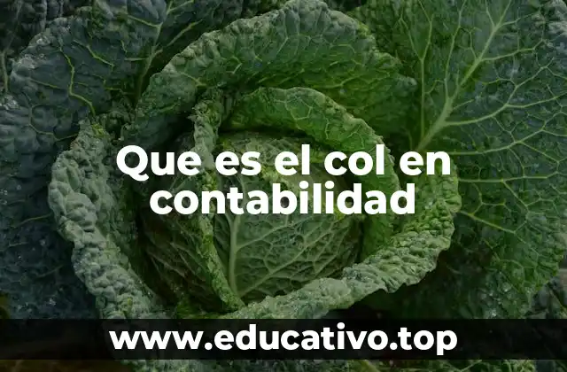 El uso de columnas en los libros contables