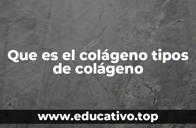 Que es el colágeno tipos de colágeno