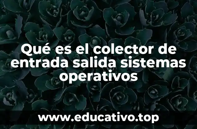 Qué es el colector de entrada salida sistemas operativos