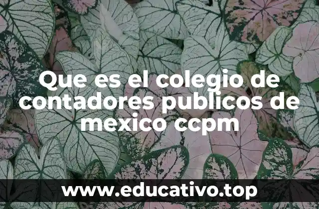 Que es el colegio de contadores publicos de mexico ccpm