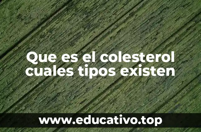Que es el colesterol cuales tipos existen