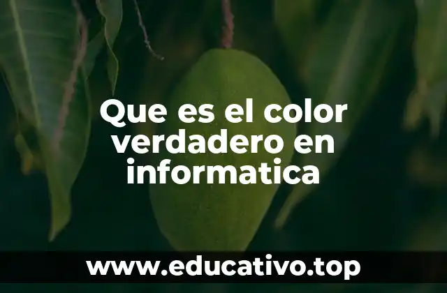 Que es el color verdadero en informatica