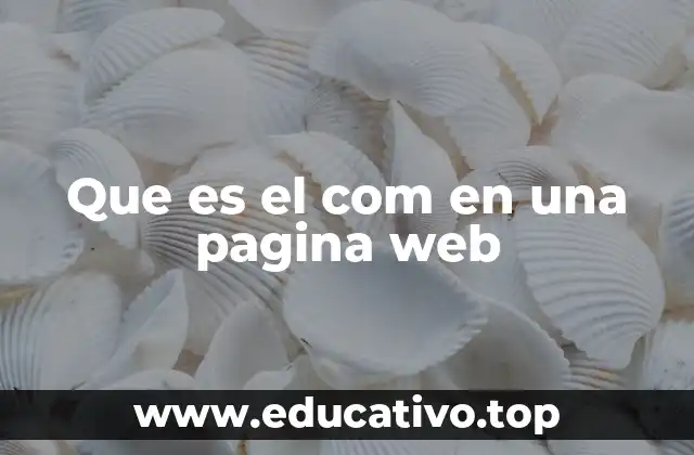 Que es el com en una pagina web