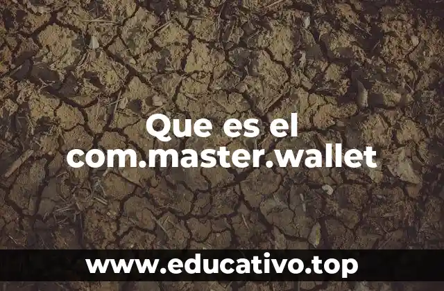 Que es el com.master.wallet