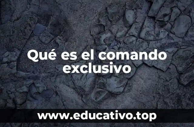 Qué es el comando exclusivo