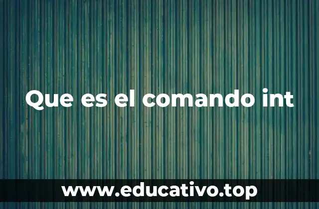 Que es el comando int