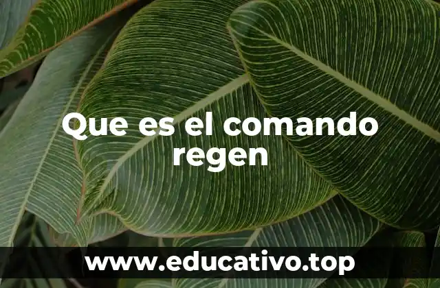 Que es el comando regen