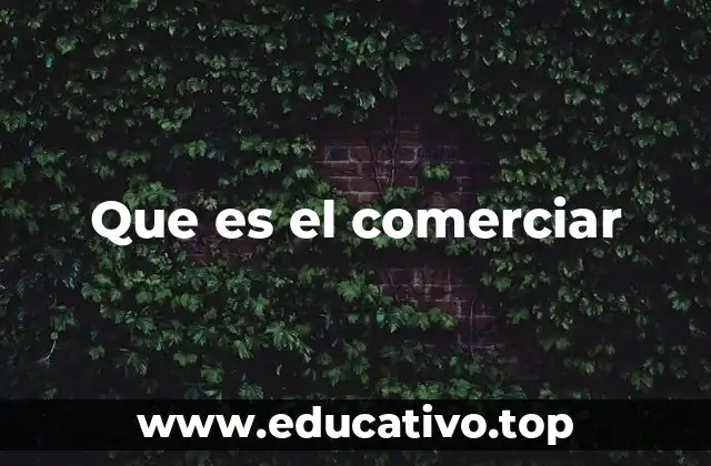 Que es el comerciar