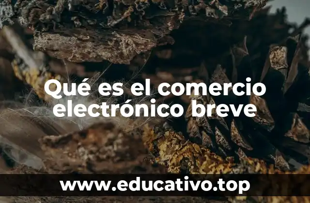 Qué es el comercio electrónico breve
