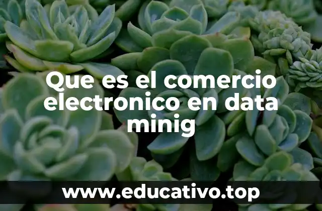 Que es el comercio electronico en data minig