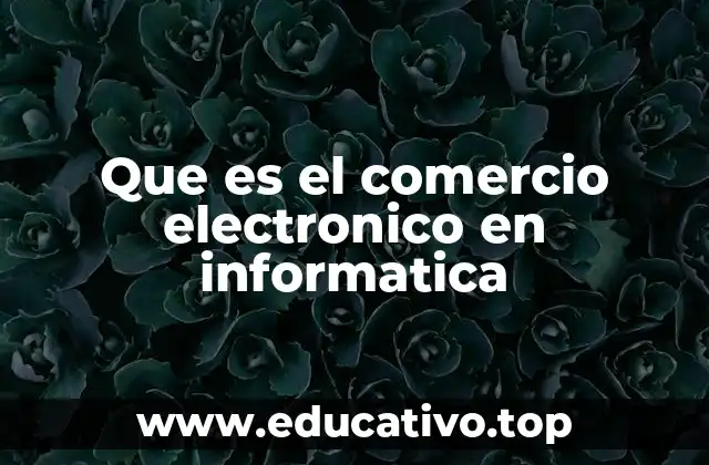 Que es el comercio electronico en informatica