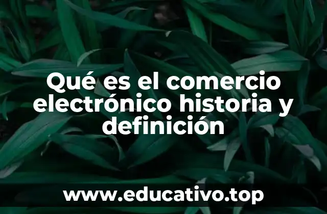 Qué es el comercio electrónico historia y definición