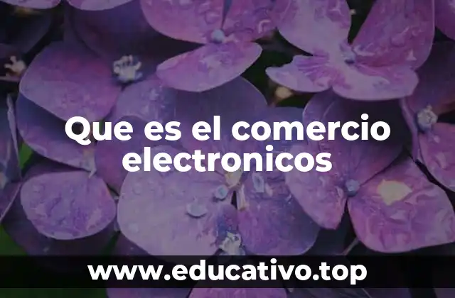 Que es el comercio electronicos