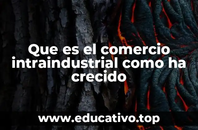 Que es el comercio intraindustrial como ha crecido