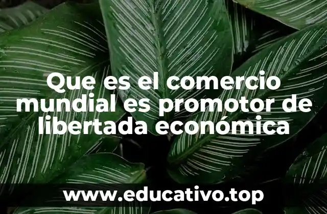 Que es el comercio mundial es promotor de libertada económica