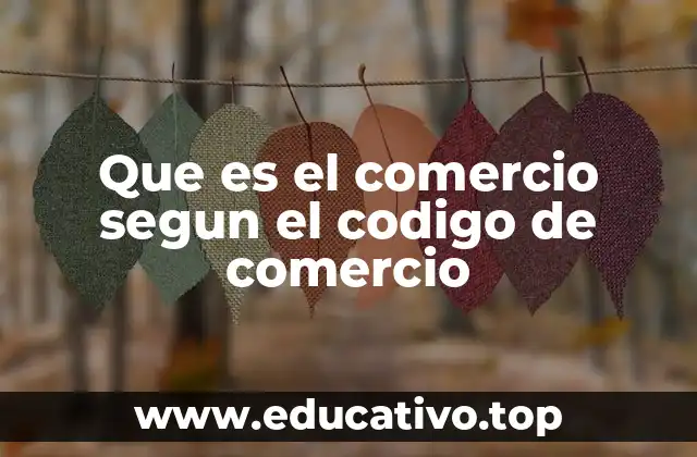 Que es el comercio segun el codigo de comercio
