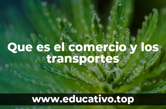 Que es el comercio y los transportes