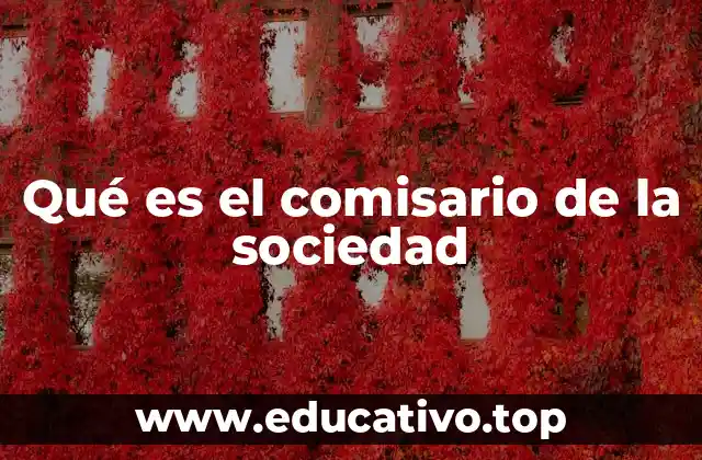 Qué es el comisario de la sociedad