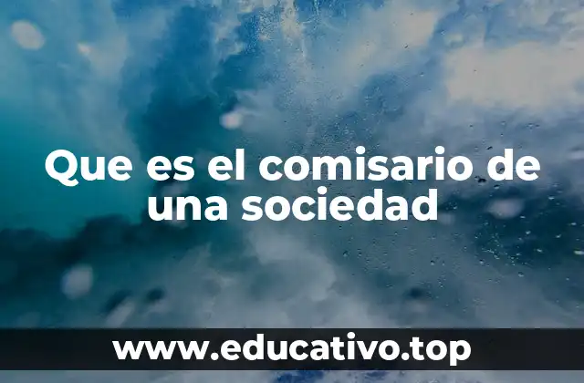 Que es el comisario de una sociedad