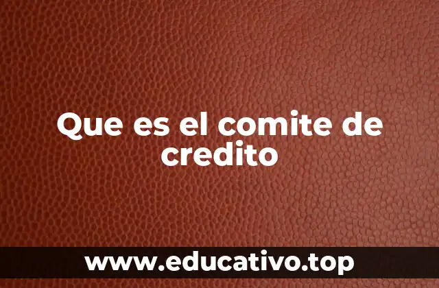 Que es el comite de credito