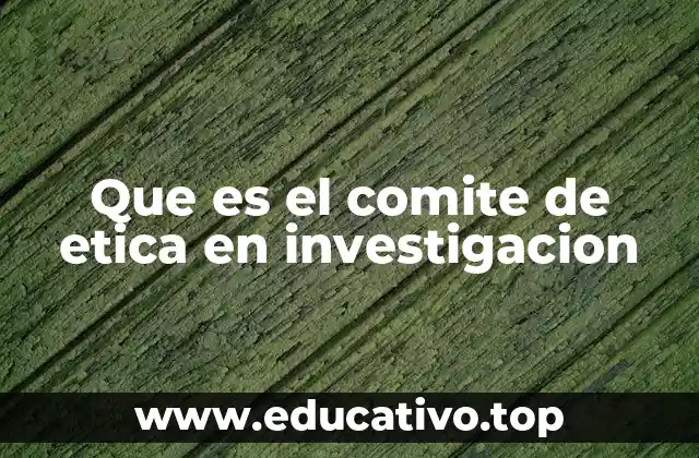 Que es el comite de etica en investigacion