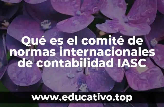 Qué es el comité de normas internacionales de contabilidad IASC