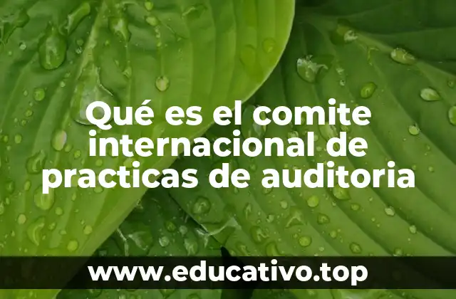 El rol del comite en la estandarización global