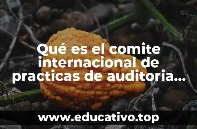 Qué es el comite internacional de practicas de auditoria imcp