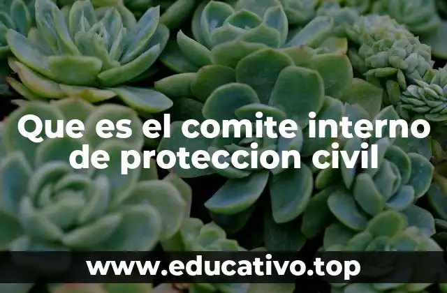Que es el comite interno de proteccion civil