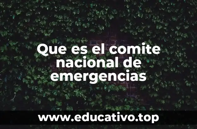 La importancia de la coordinación en emergencias