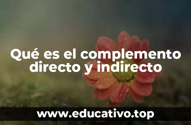 Qué es el complemento directo y indirecto