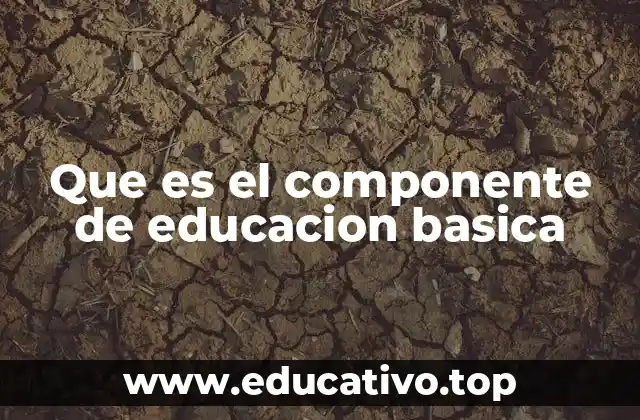 Que es el componente de educacion basica