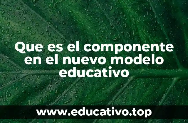 Que es el componente en el nuevo modelo educativo