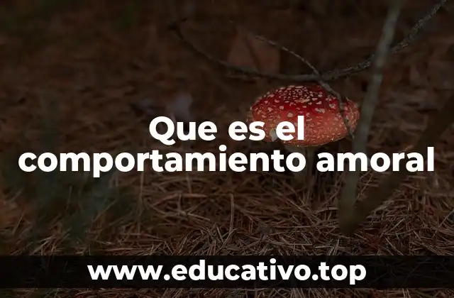Que es el comportamiento amoral