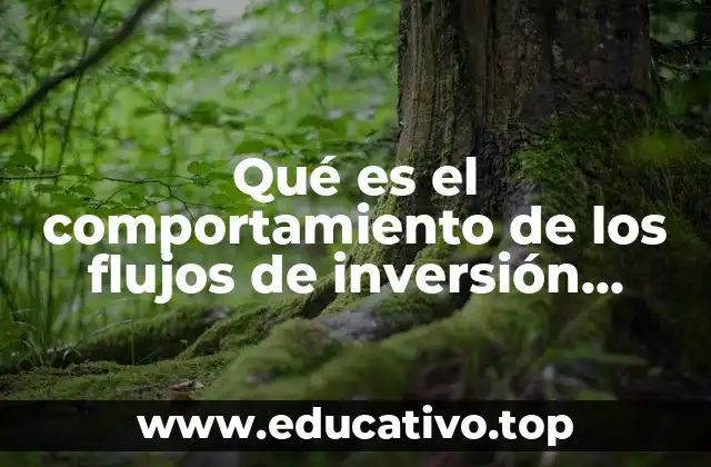 Qué es el comportamiento de los flujos de inversión México