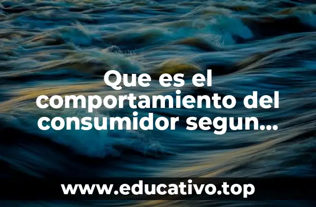 Que es el comportamiento del consumidor segun schiffman