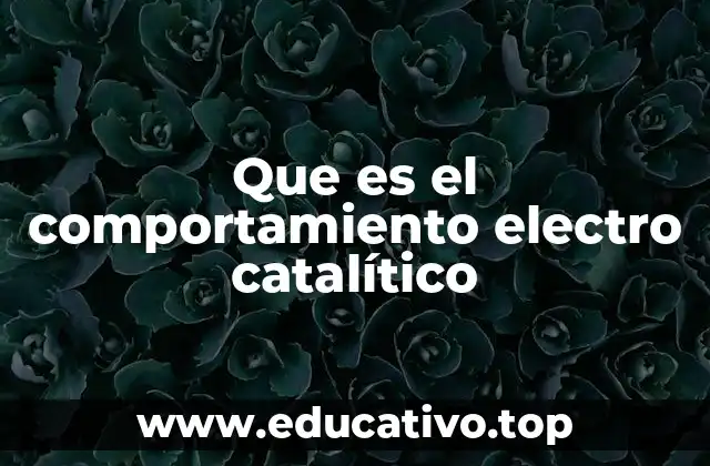 Cómo influye el comportamiento electrocatalítico en la eficiencia energética