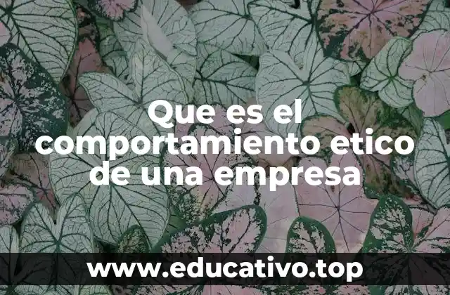 Que es el comportamiento etico de una empresa