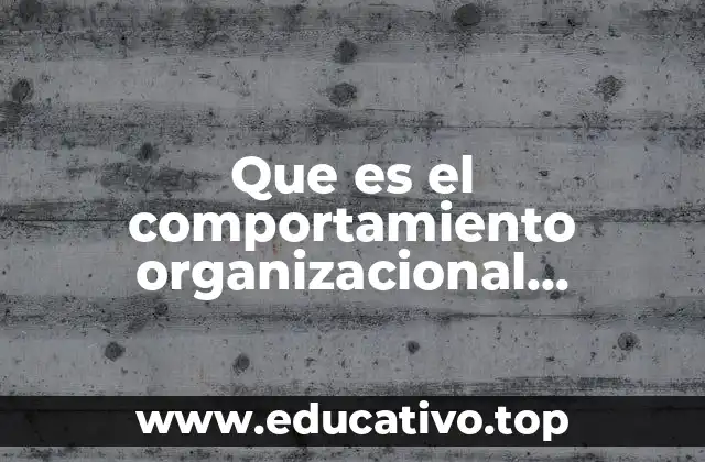 Que es el comportamiento organizacional dimensiones