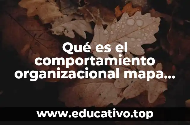 Qué es el comportamiento organizacional mapa conceptual