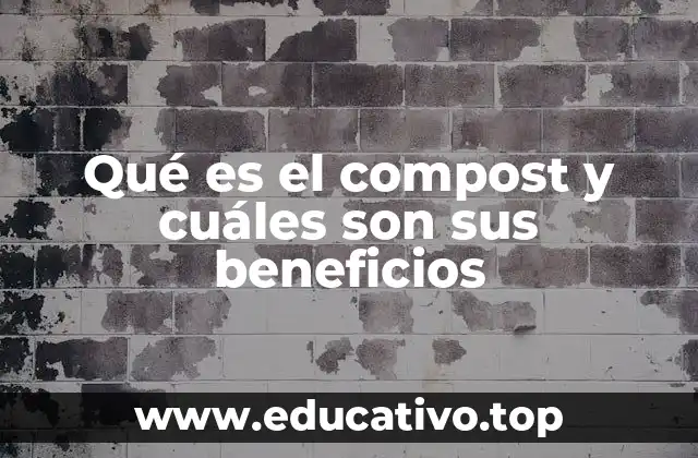 Qué es el compost y cuáles son sus beneficios