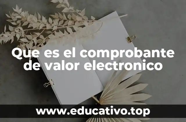 Que es el comprobante de valor electronico