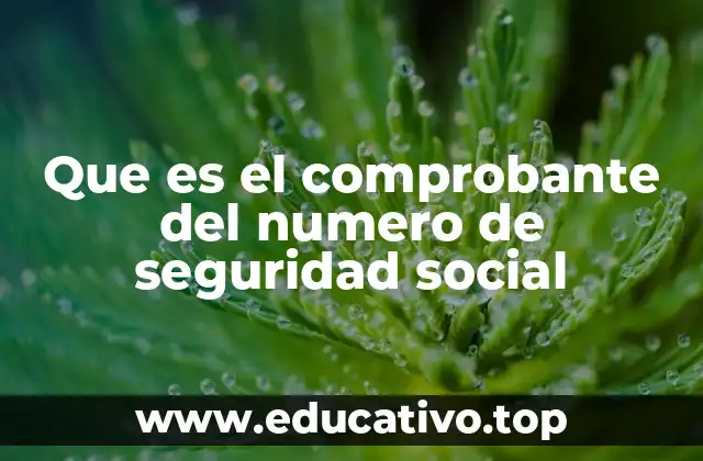 Que es el comprobante del numero de seguridad social