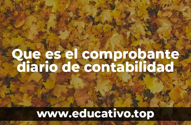 Que es el comprobante diario de contabilidad